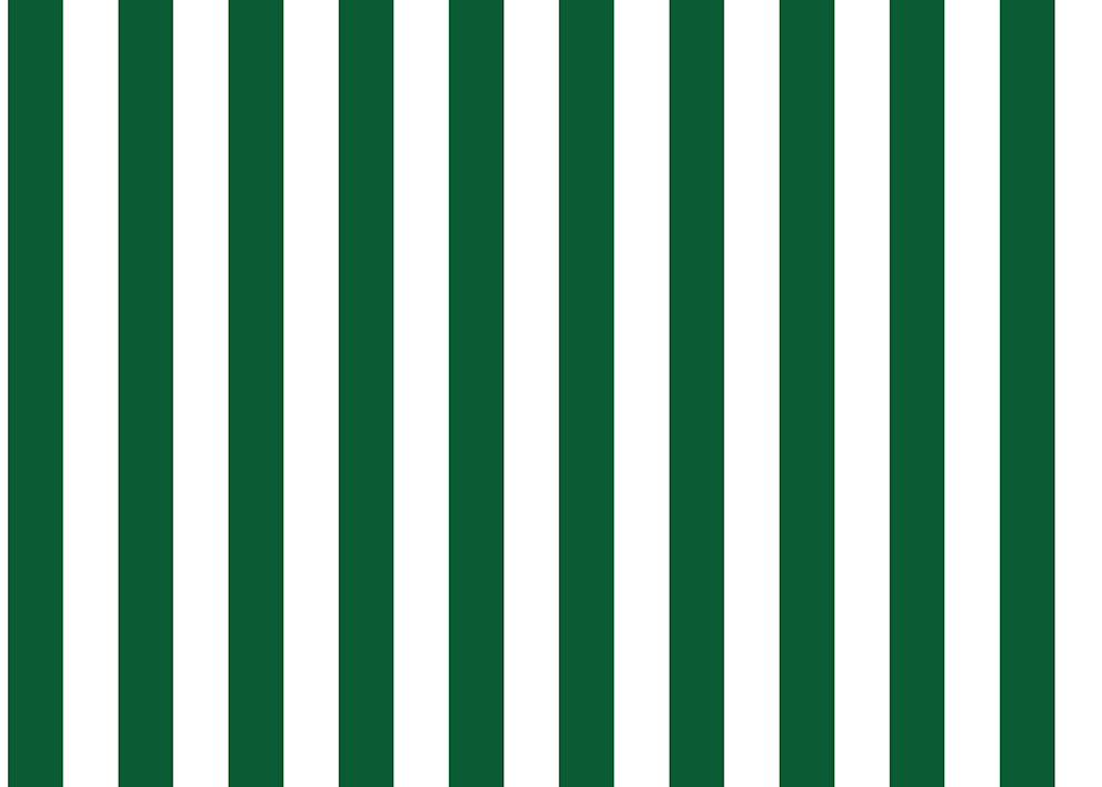 Carta da Parati Linearis JV Italian Design cod. 7706