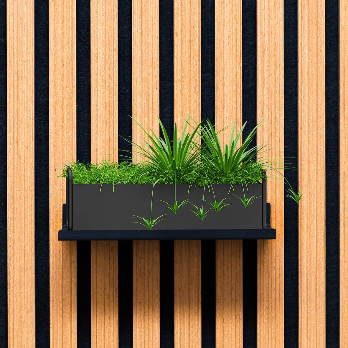 Kit Accessori Pannelli Fonoassorbenti Mensola e 2 ganci Esseci