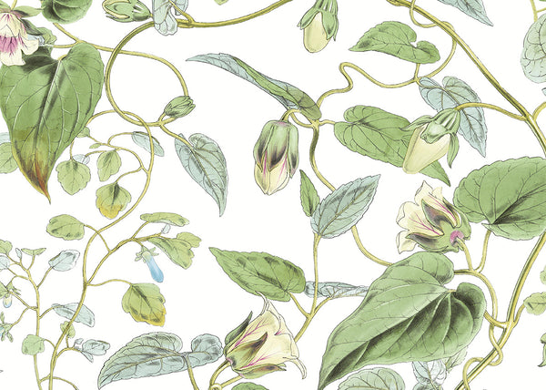 Carta da Parati Blooms 2nd Edition MOON FLOWER JV Exclusive Parati