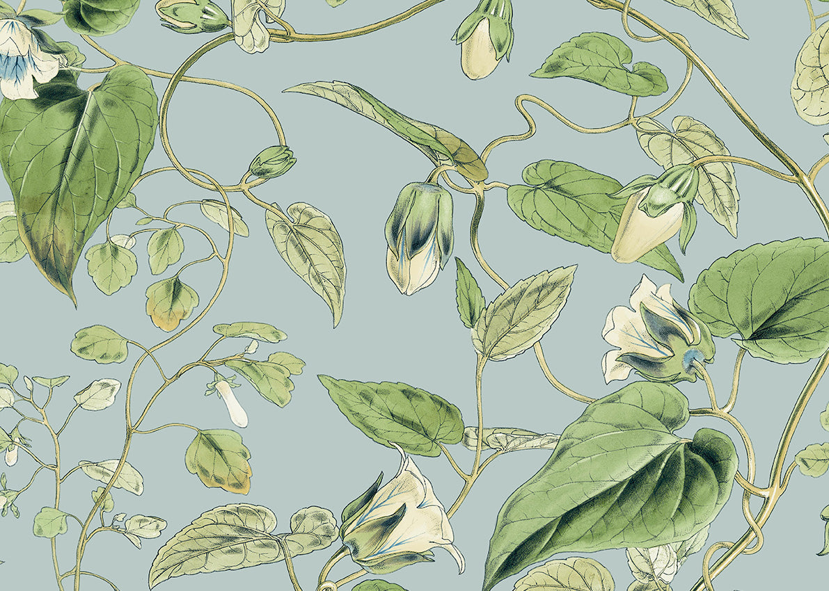 Carta da Parati Blooms 2nd Edition MOON FLOWER JV Exclusive Parati