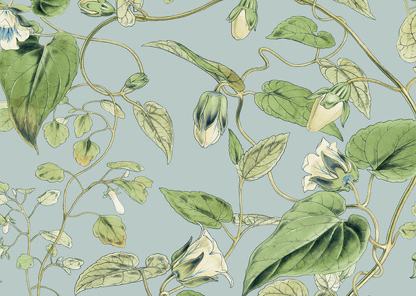 Carta da Parati Blooms 2nd Edition MOON FLOWER JV Exclusive Parati