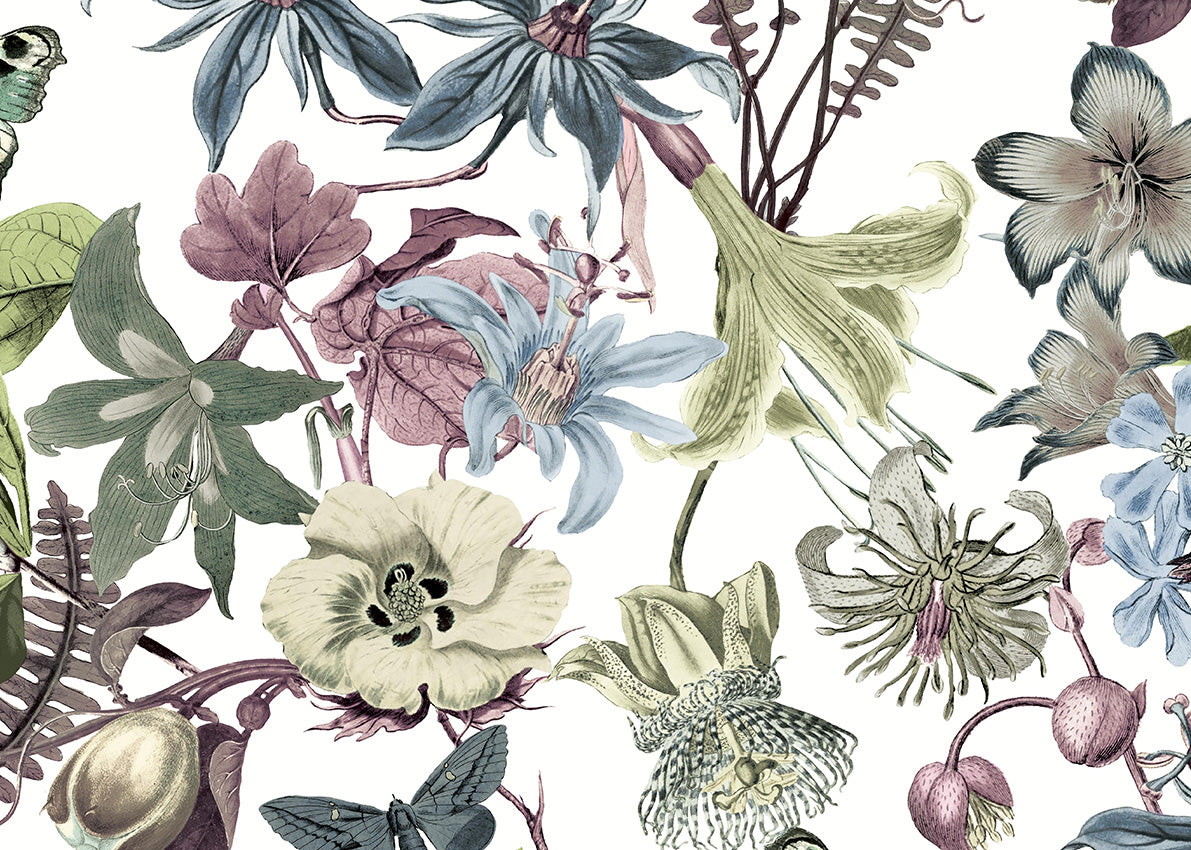 Carta da Parati Blooms 2nd Edition BUTTERFLY HOUSE JV Exclusive Parati