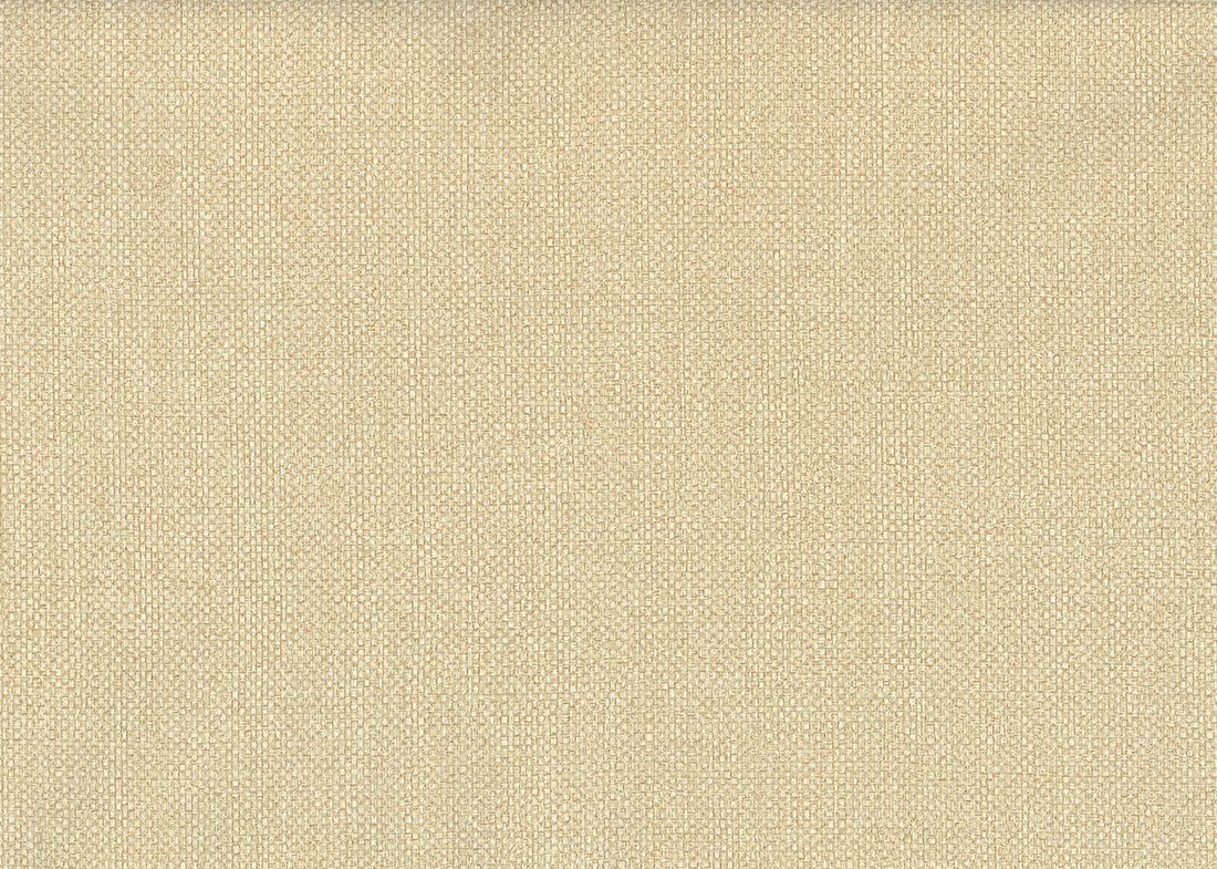 Carta da Parati JVDesign Amazzonia cod. 1002