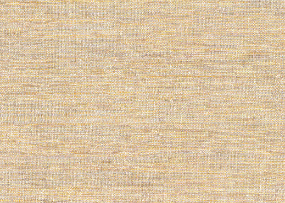 Carta da Parati JV Design Amazzonia cod. 1032