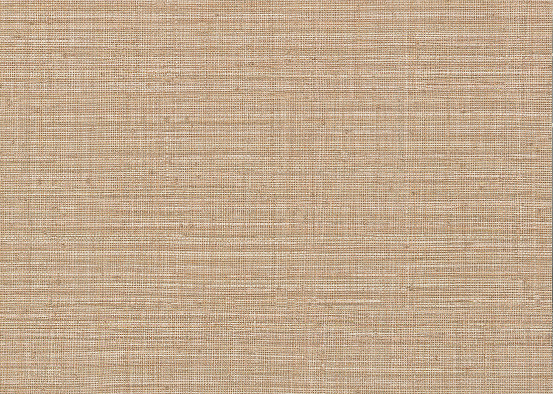 Carta da Parati JV Design Amazzonia cod. 1057