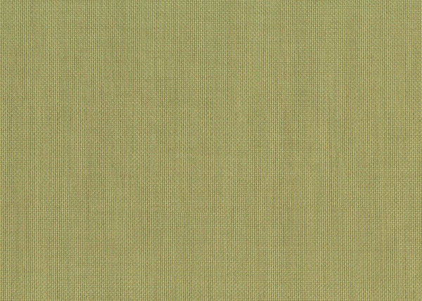 Carta da Parati Altagamma Living Sirpi Parati cod. 25342