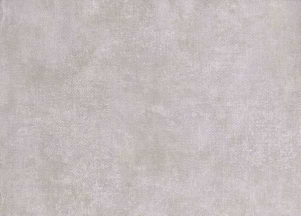 Carta da Parati ACADEMY a tribute to Gustav Klimt UNITO AIRONE