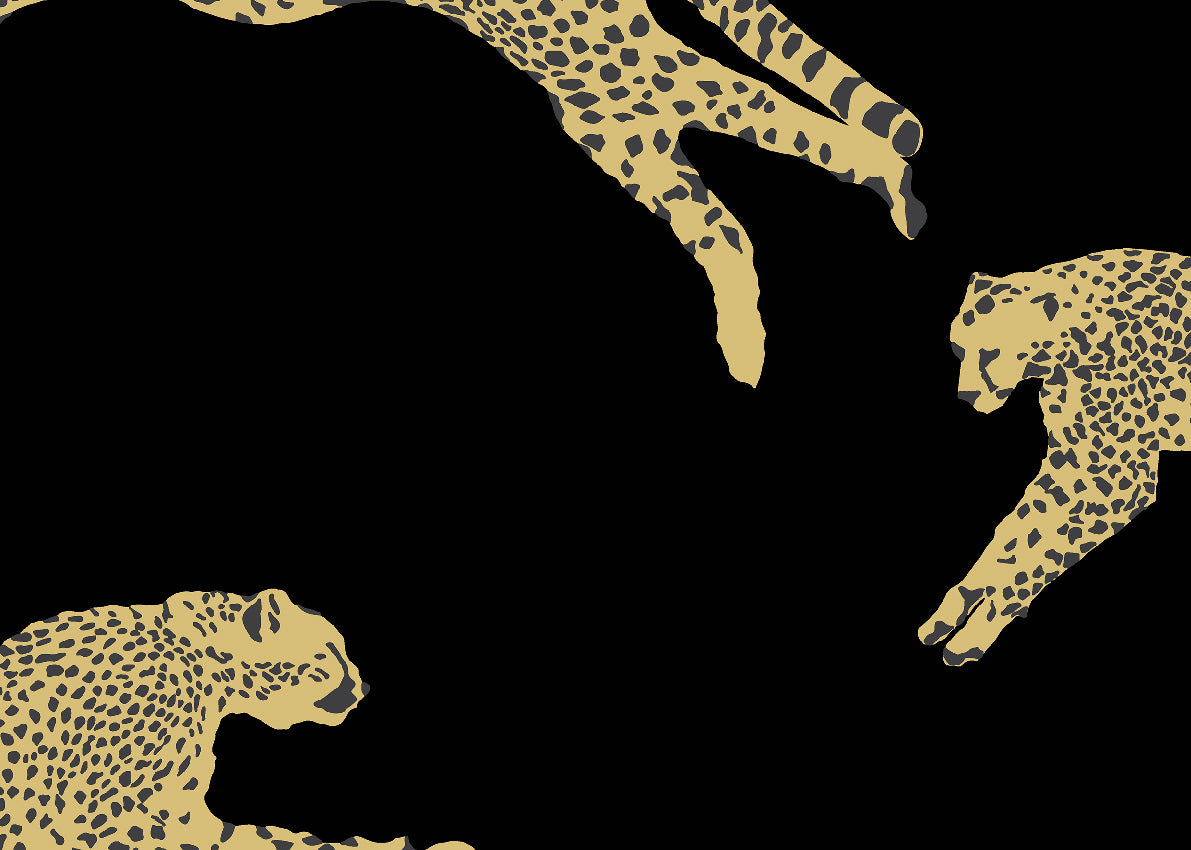 Carta da Parati Scalamandré JV Design Licence cod. 26019