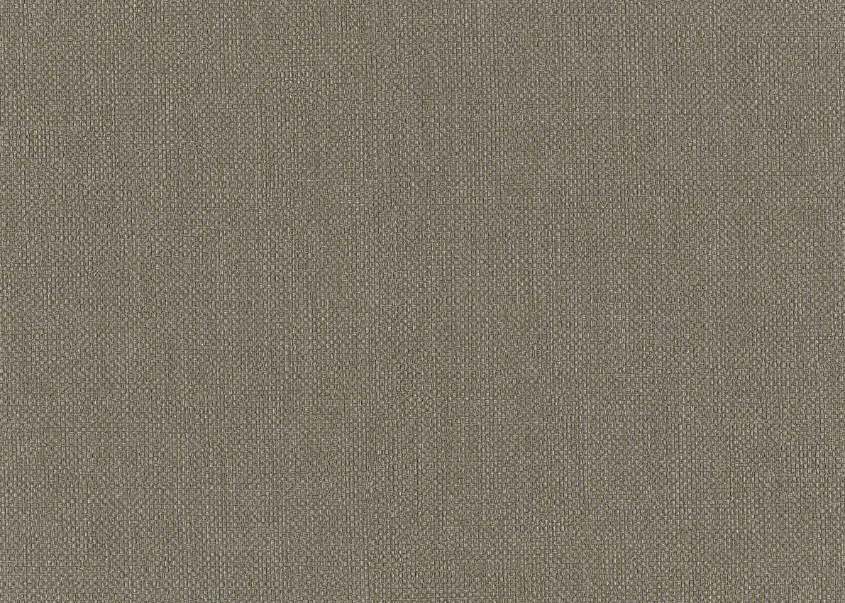 Carta da Parati JV Design Amazzonia cod. 6553