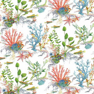 Carta da parati Osborne & Little Coralline W7682-01