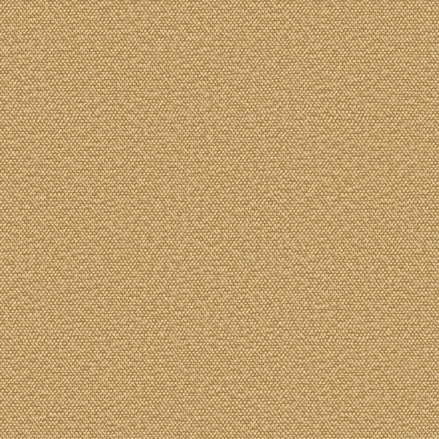 Carta da Parati Murella 100 Zambaiti Parati Z16727
