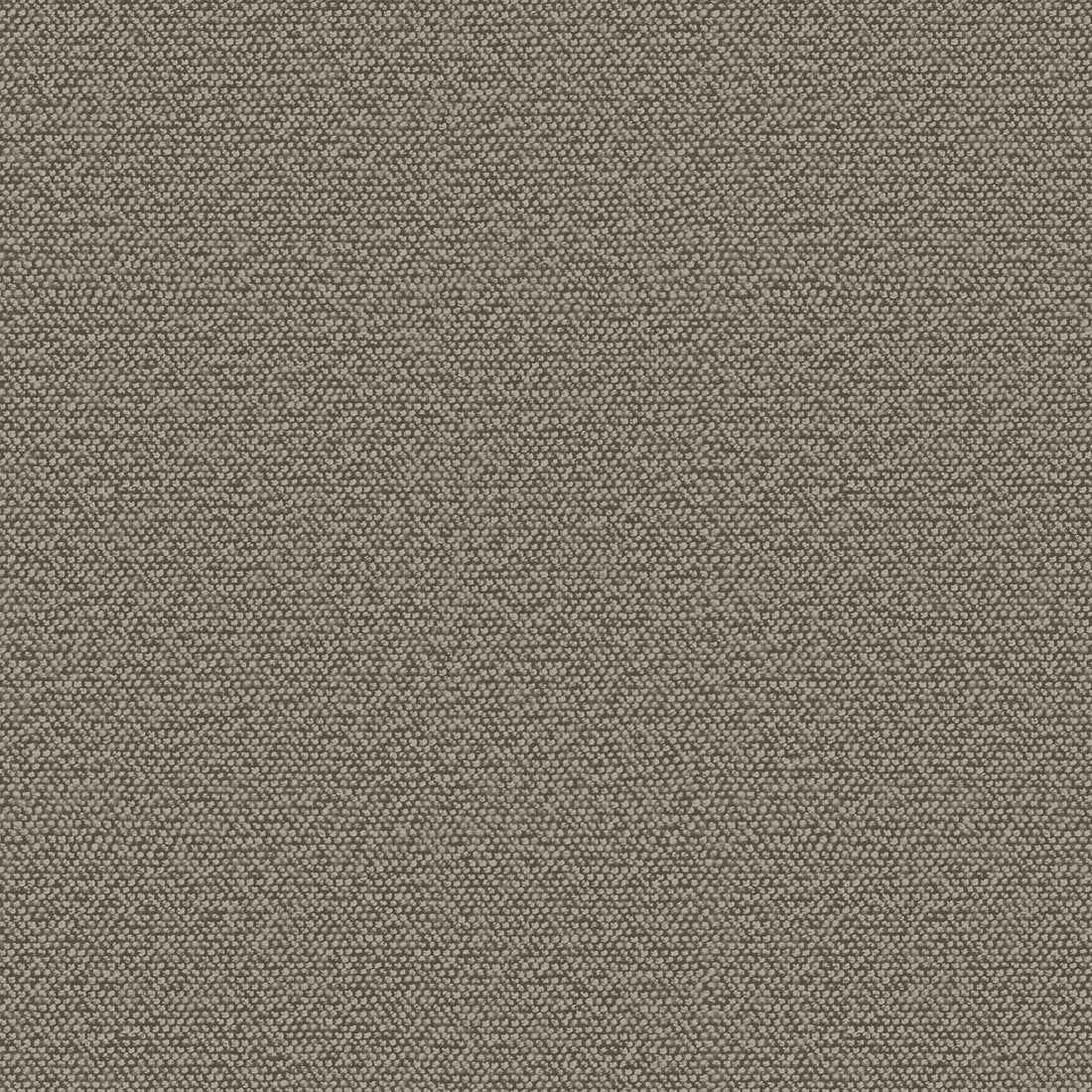 Carta da Parati Murella 100 Zambaiti Parati Z16728