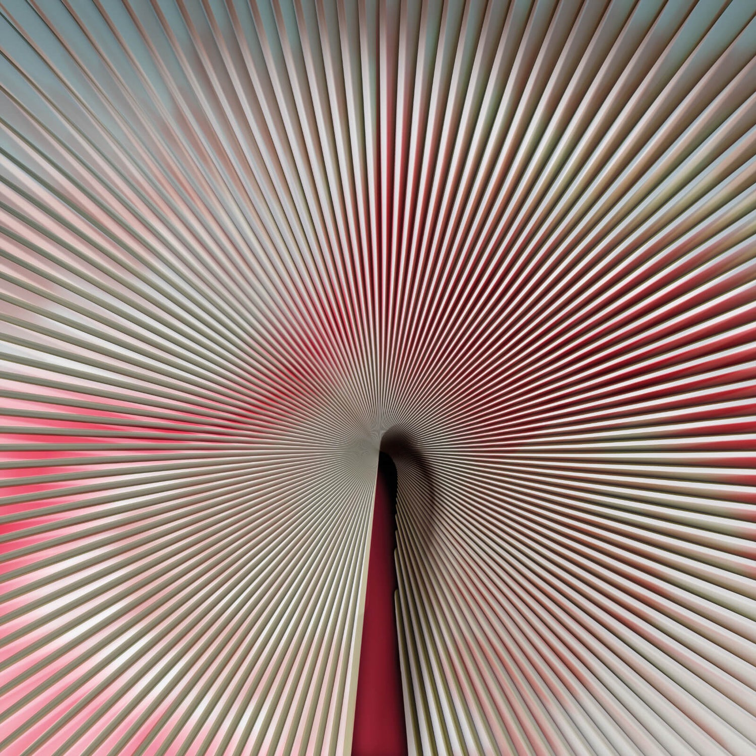 Carta da Parati Trussardi Casa VII  Z18989 AL MQ. Zambaiti Parati