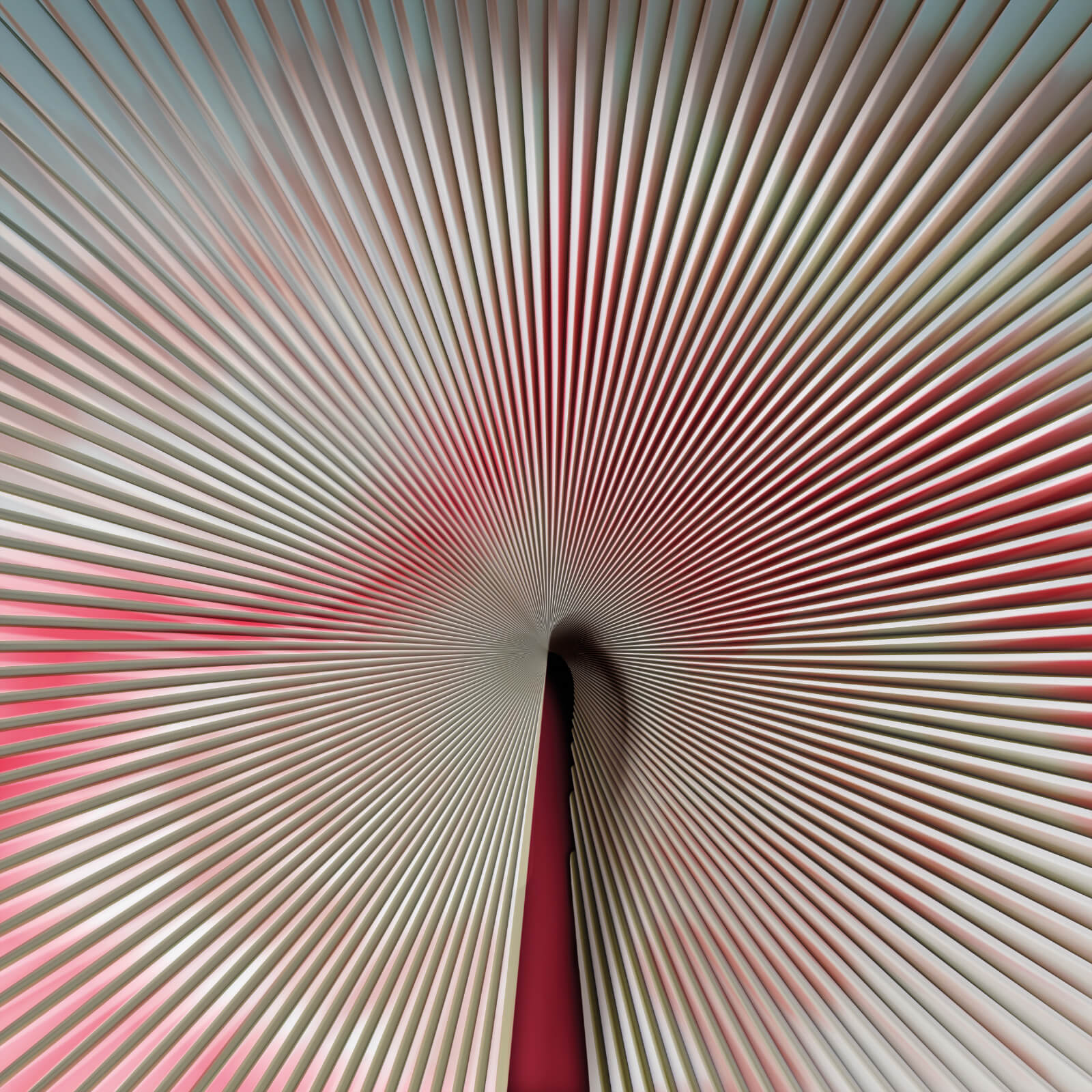 Carta da Parati Trussardi Casa VII  Z18989 AL MQ. Zambaiti Parati