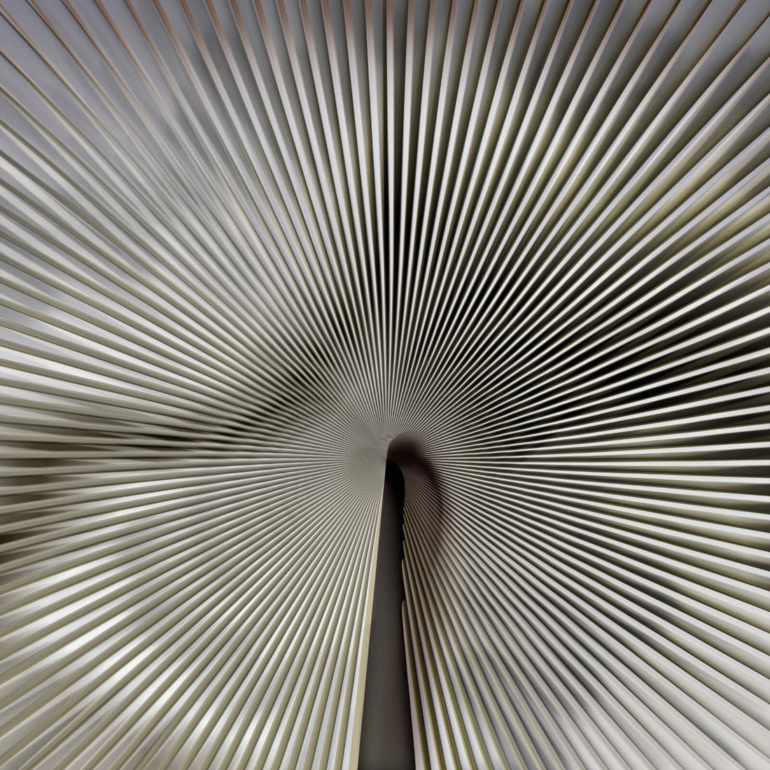 Carta da Parati Trussardi Casa VII  Z18991 3 mt. x 3 mt.  Zambaiti Parati