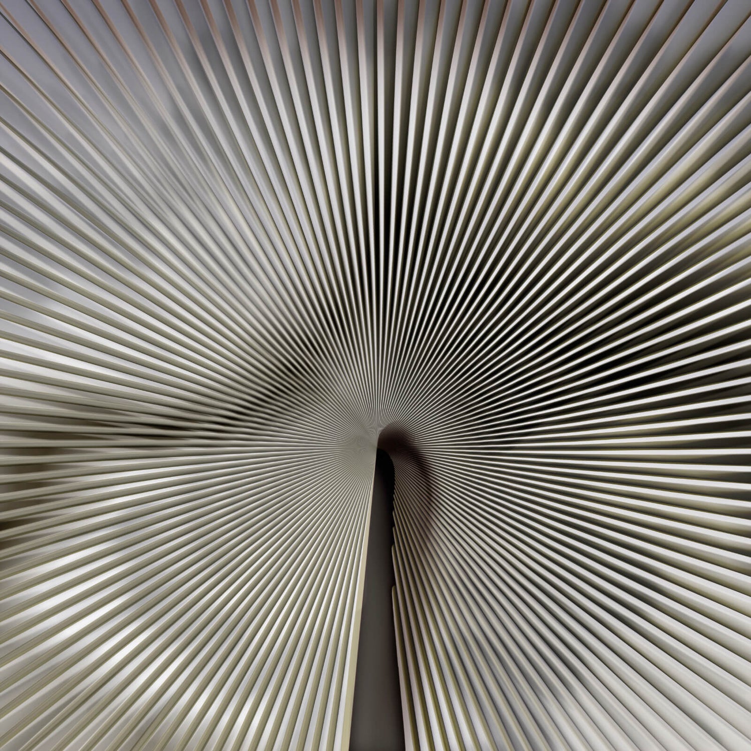 Carta da Parati Trussardi Casa VII  Z18991 AL MQ. Zambaiti Parati