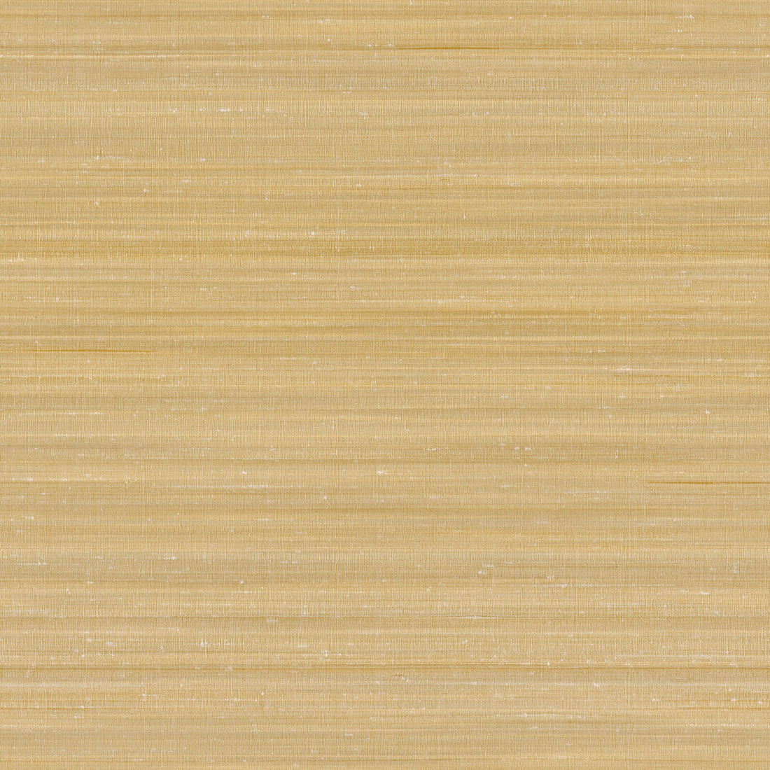 Carta da Parati Home Zambaiti Contract Z47845