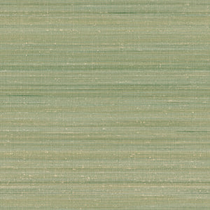 Carta da Parati Home Zambaiti Contract Z47846