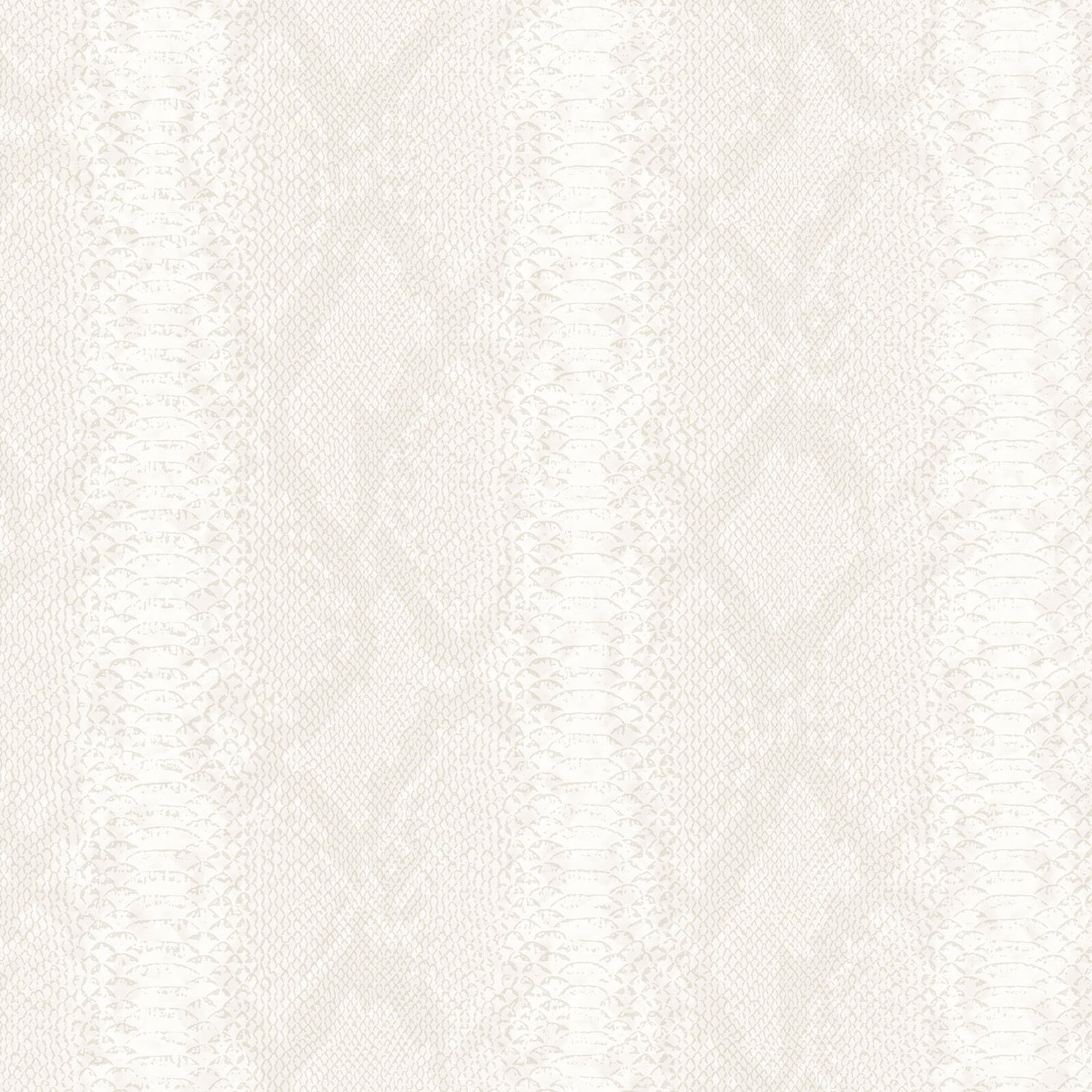 Carta da Parati Philipp Plein 2 Zambaiti Parati Z81033