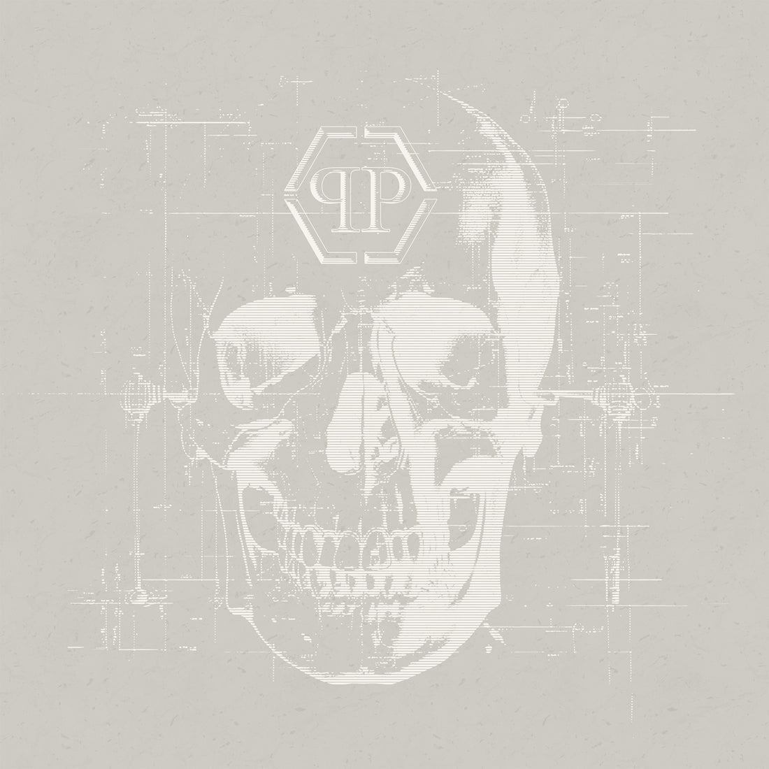 Stampa personalizzata Philipp Plein 2 Zambaiti Parati Z81077