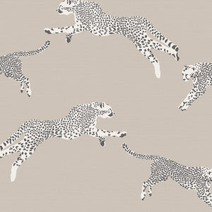Carta da Parati Scalamandré JV Design Licence cod. 26023 Raphia