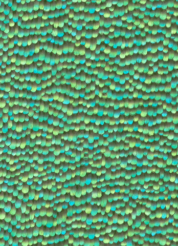 Carta da Parati Paradiso Wallpaper Collection cod. 10129-18
