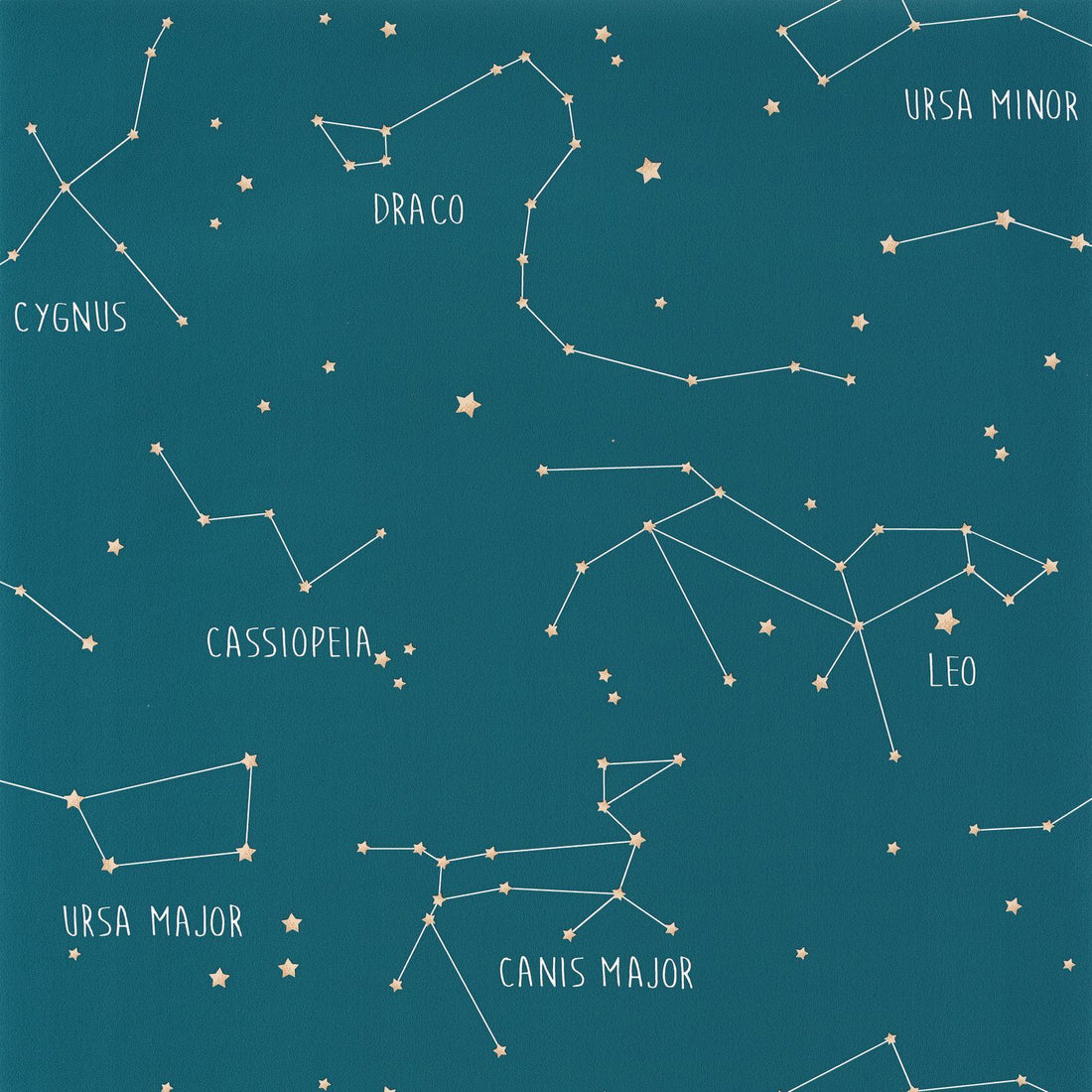 Carta da Parati Our Planet Caselio Wallpaper