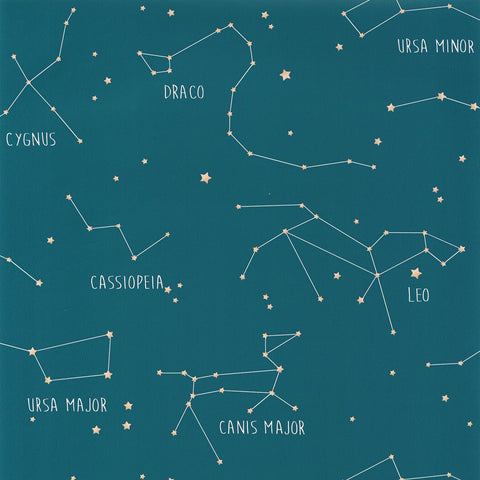 Carta da Parati Our Planet Caselio Wallpaper