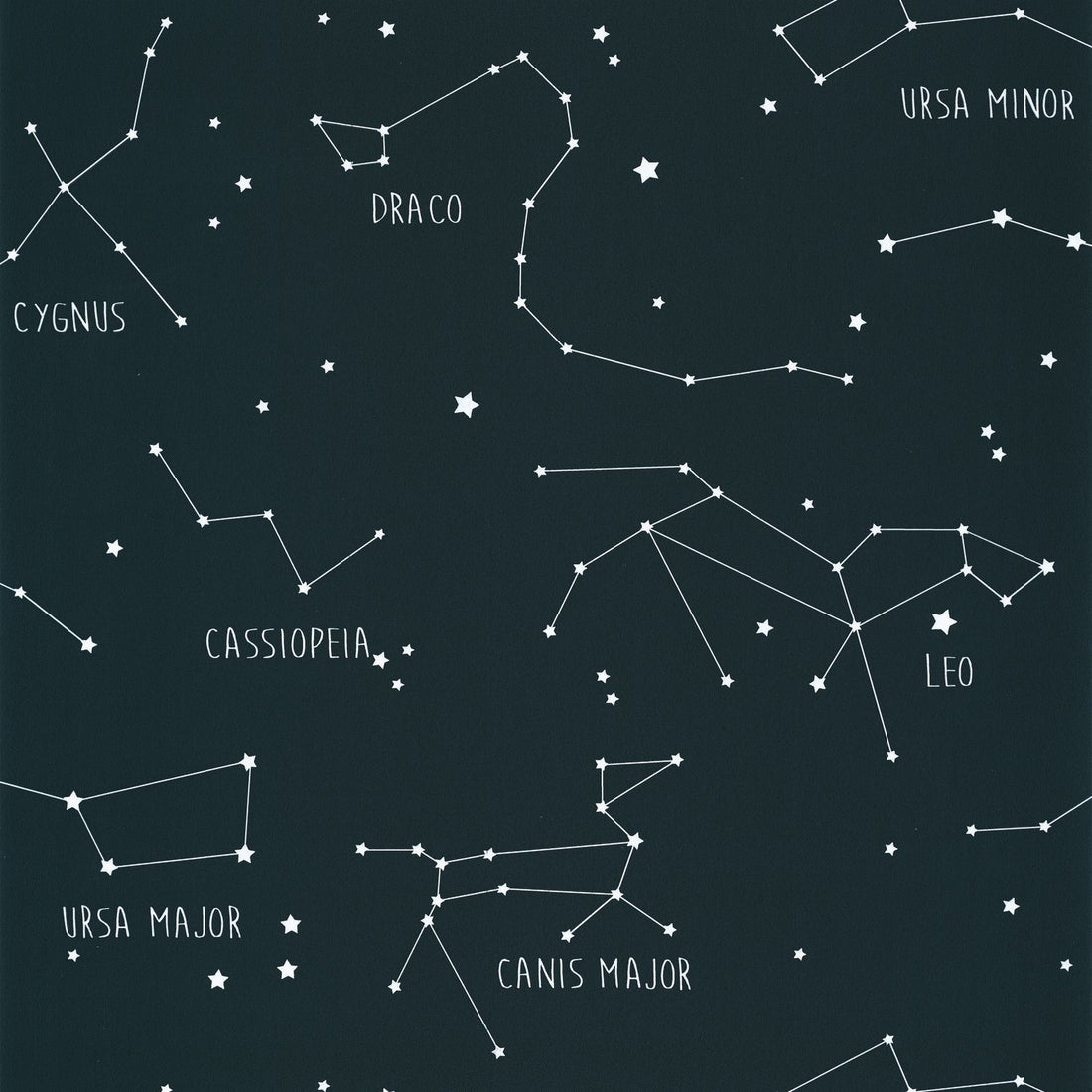 Carta da Parati Our Planet Caselio Wallpaper