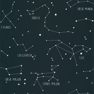 Carta da Parati Constellations Blu Notte  Our Planet Caselio Wallpaper