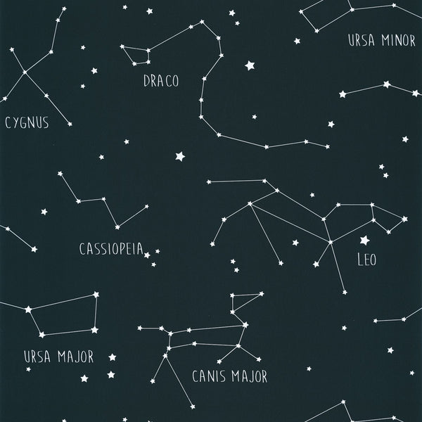 Carta da Parati Constellations Blu Notte  Our Planet Caselio Wallpaper