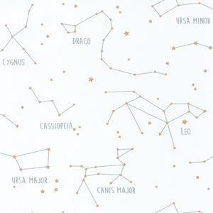 Carta da Parati Our Planet Caselio Wallpaper