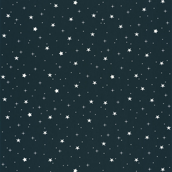 Carta da Parati Stars In Your Eyes Blue Notte/Bianco Our Planet Caselio Wallpaper