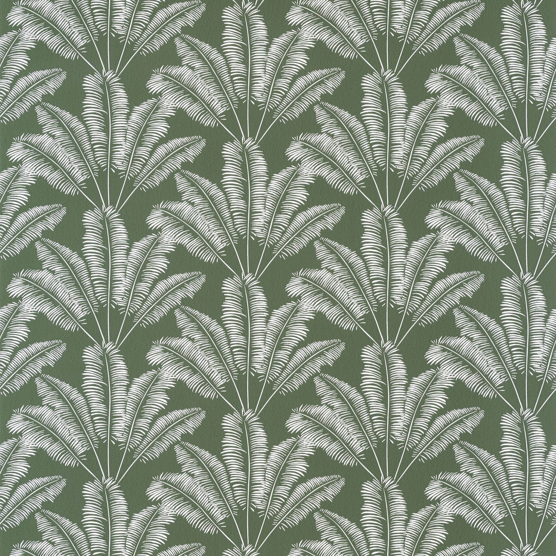 Carta da Parati Our Planet Caselio Wallpaper