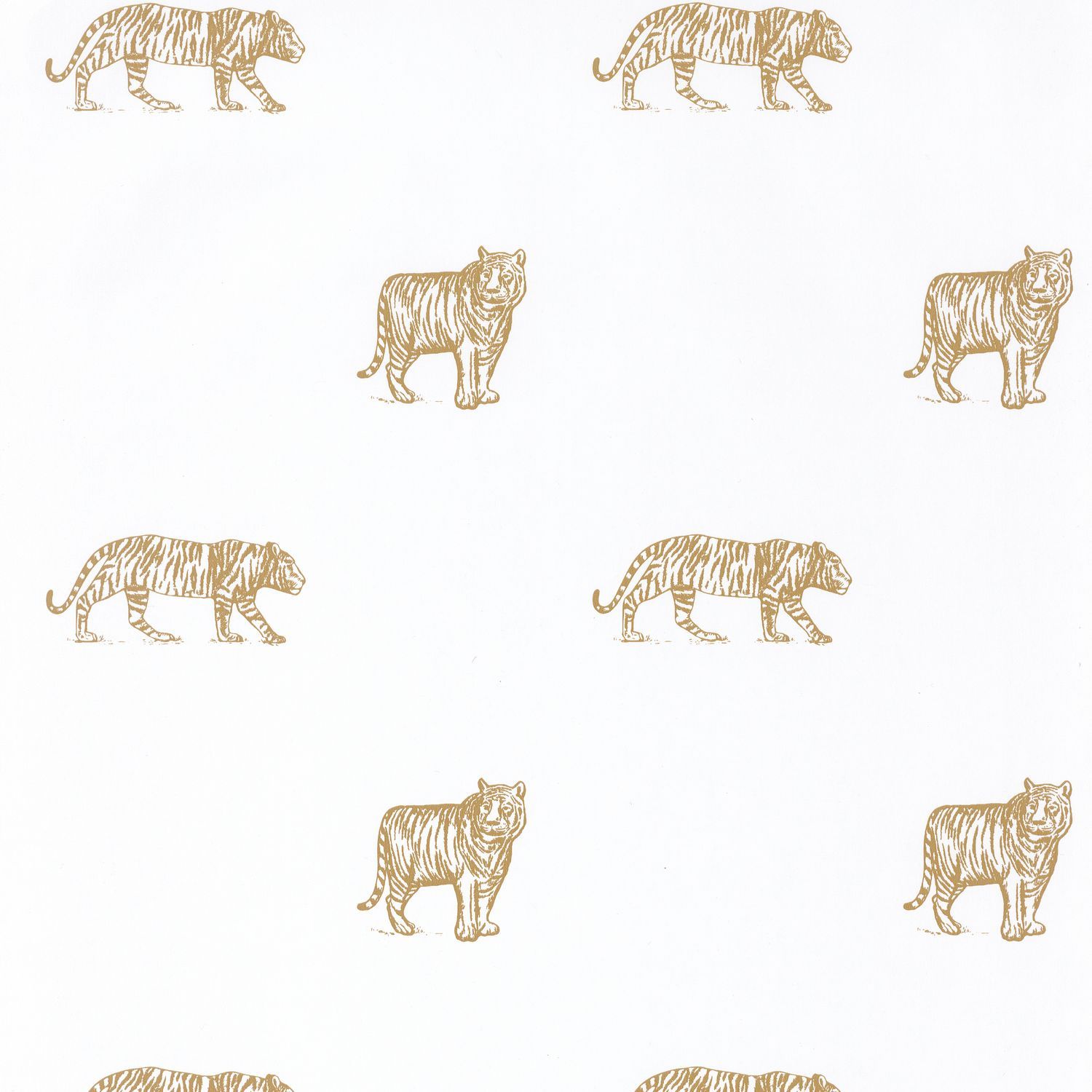 Carta da Parati Eye Of The Tiger Bianco/Ocra Our Planet Caselio Wallpaper