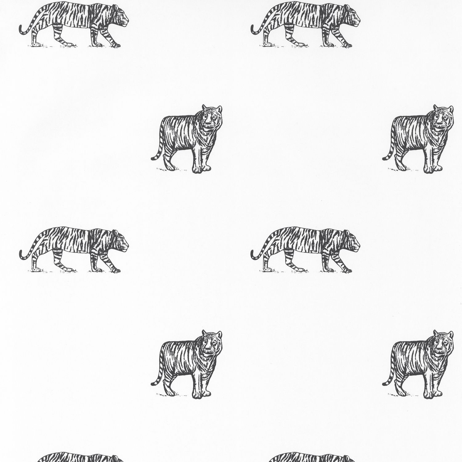 Carta da Parati Our Planet Caselio Wallpaper