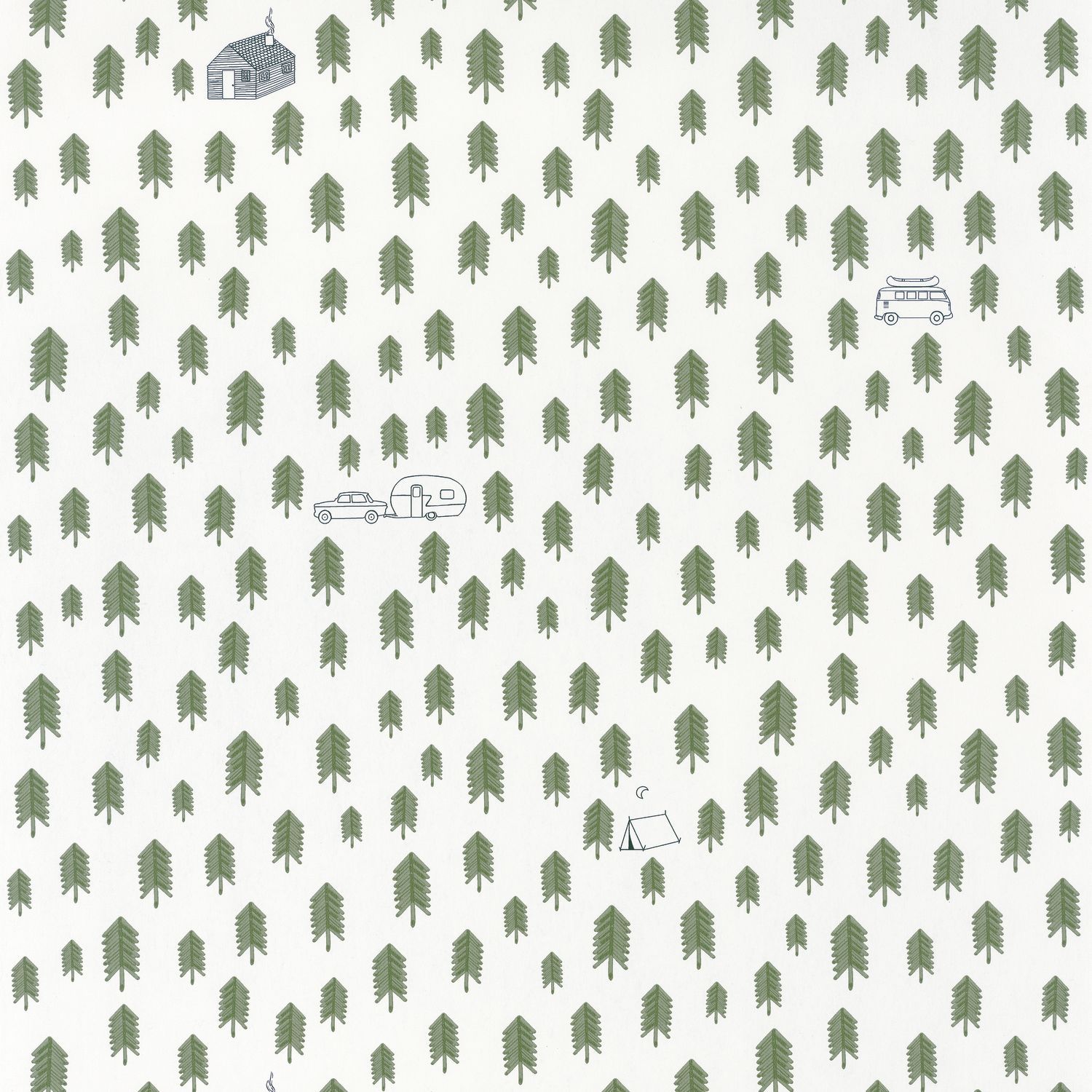 Carta da Parati Summer Camp Verde Kaki/Bianco Planet Caselio Wallpaper