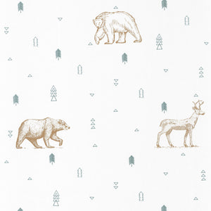 Carta da Parati Planet Grizzly Bears Verde Acqua/Beige Our Planet Caselio Wallpaper