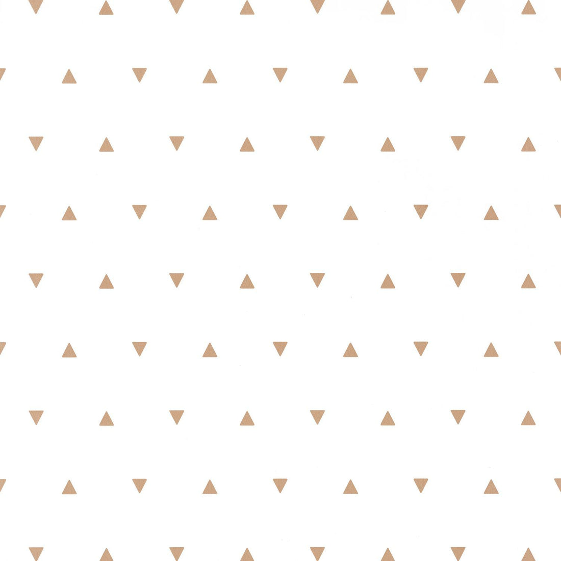 Carta da Parati Our Planet Caselio Wallpaper