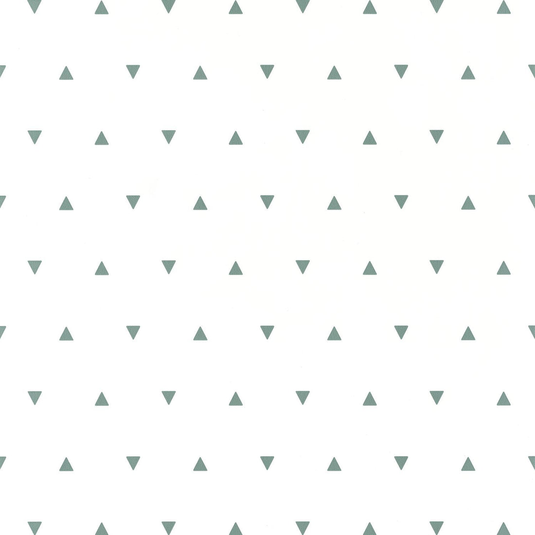 Carta da Parati  Our Planet Caselio Wallpaper