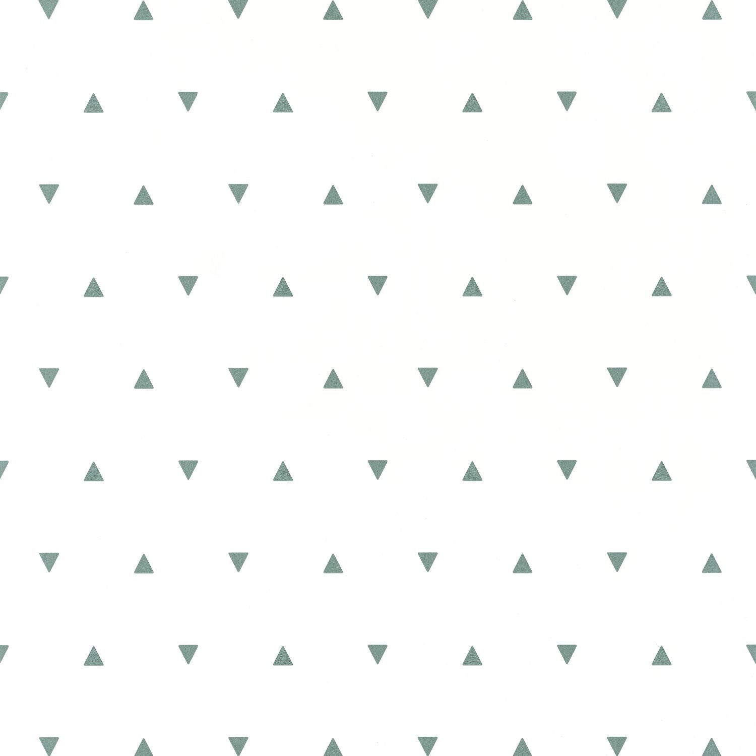 Carta da Parati  Our Planet Caselio Wallpaper