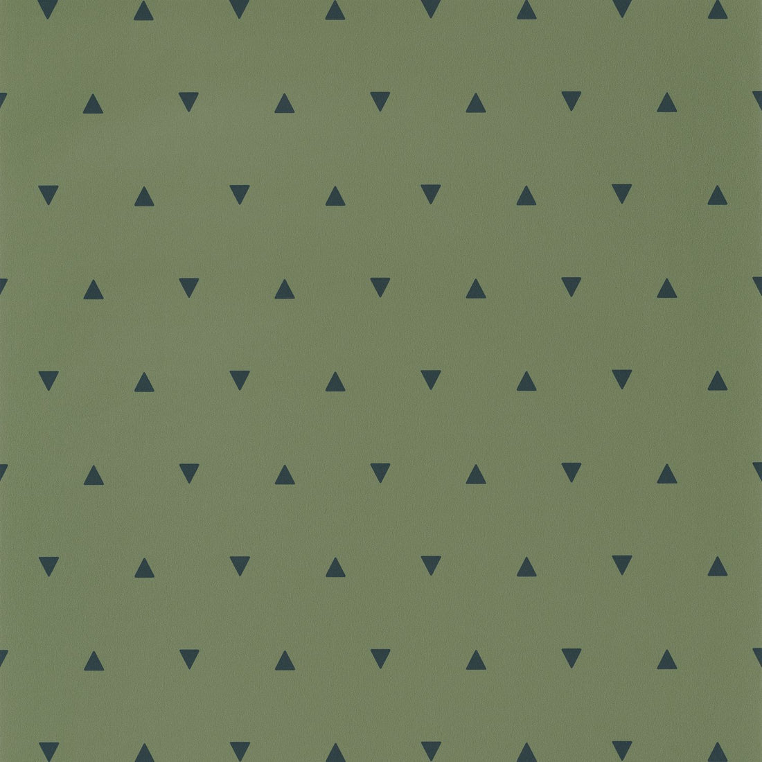 Carta da Parati Our Planet Caselio Wallpaper