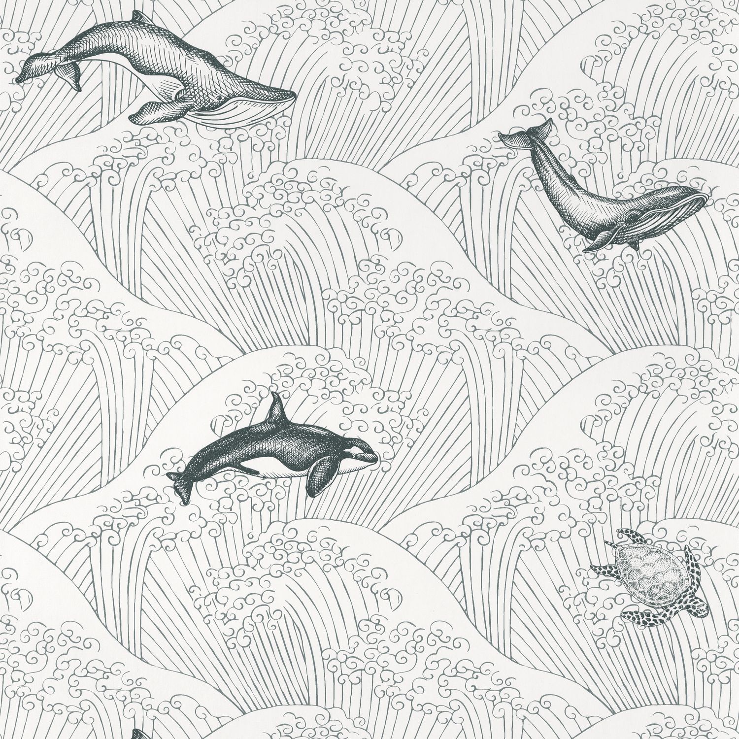Carta da Parati Under The Sea Bianco/Nero Our Planet Caselio Wallpaper