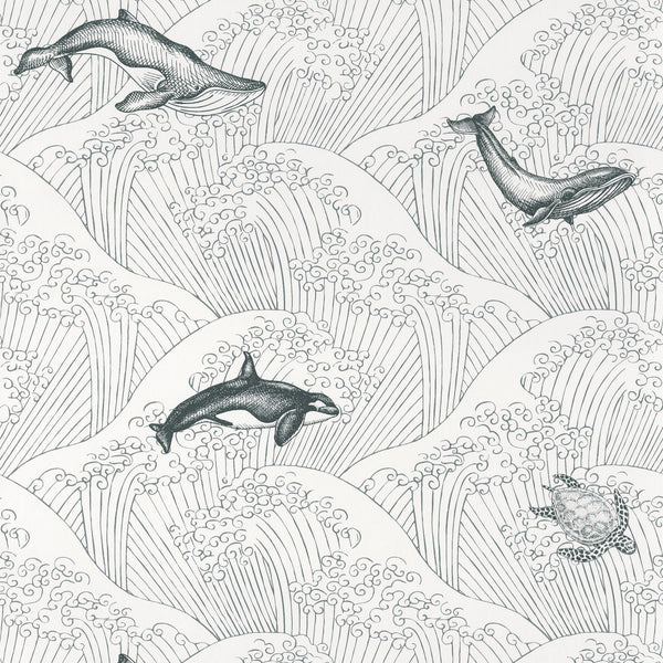 Carta da Parati Under The Sea Bianco/Nero Our Planet Caselio Wallpaper