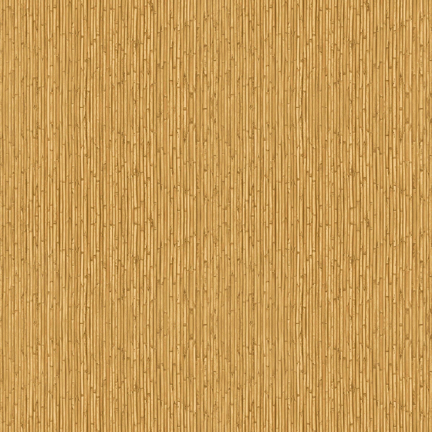 Carta da Parati Flora Cristiana Masi Wallpaper Collection cod. 18573