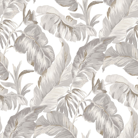 Carta da Parati Amazzonia Cristiana Masi Wallpaper Collection cod. 22011