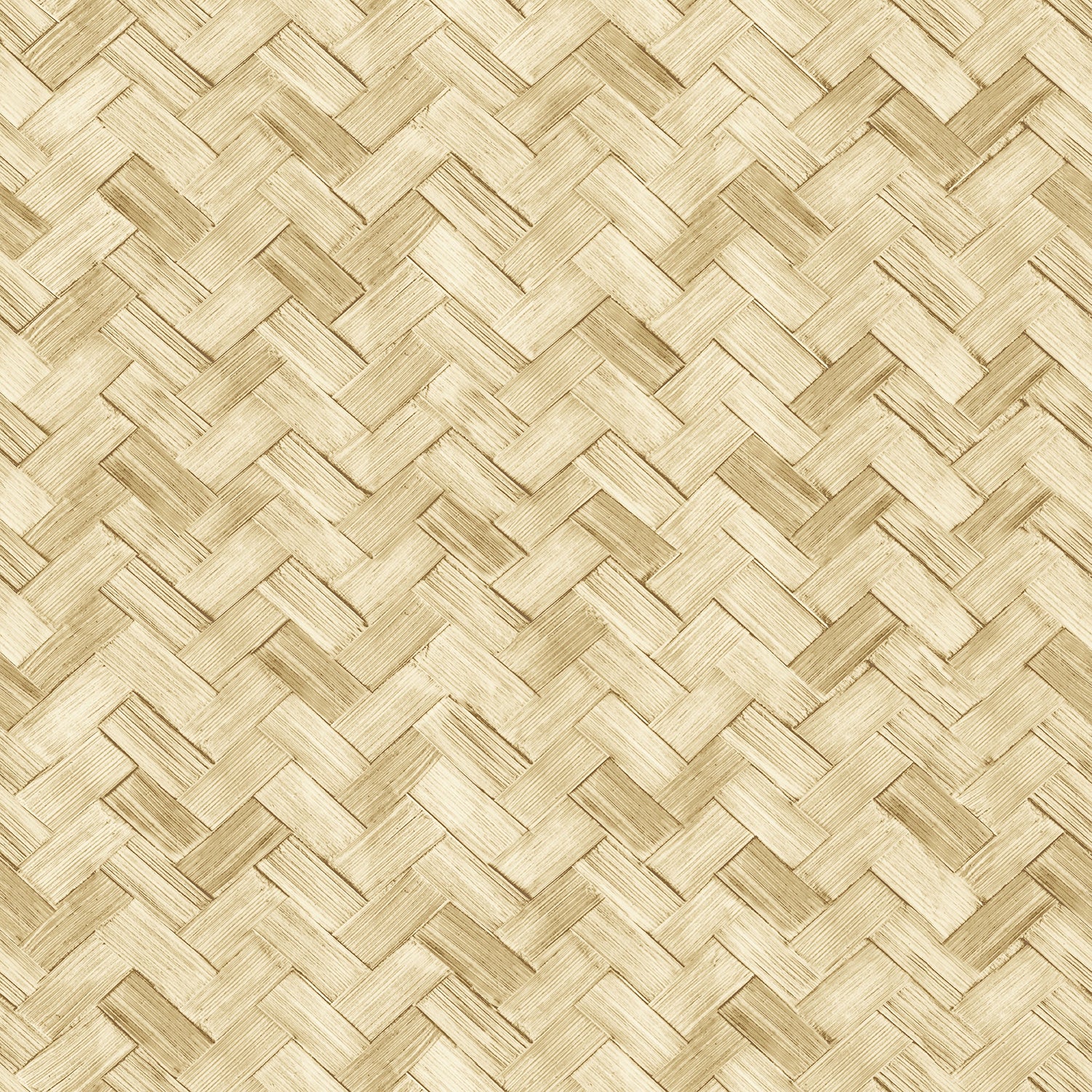 Carta da Parati Amazzonia Cristiana Masi Wallpaper Collection cod. 22068