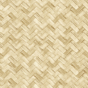 Carta da Parati Amazzonia Cristiana Masi Wallpaper Collection cod. 22068