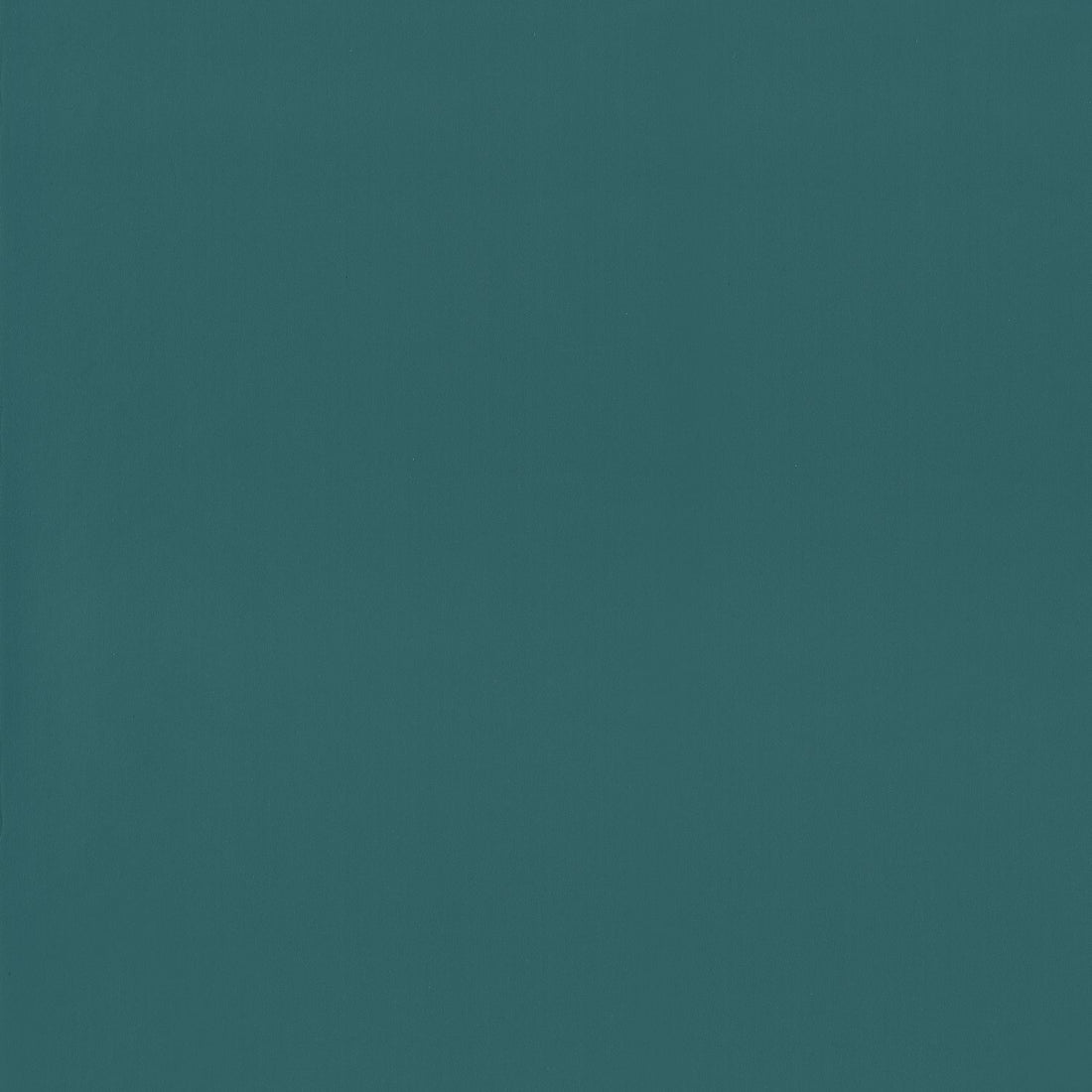 Carta da Parati Our Planet Caselio Wallpaper