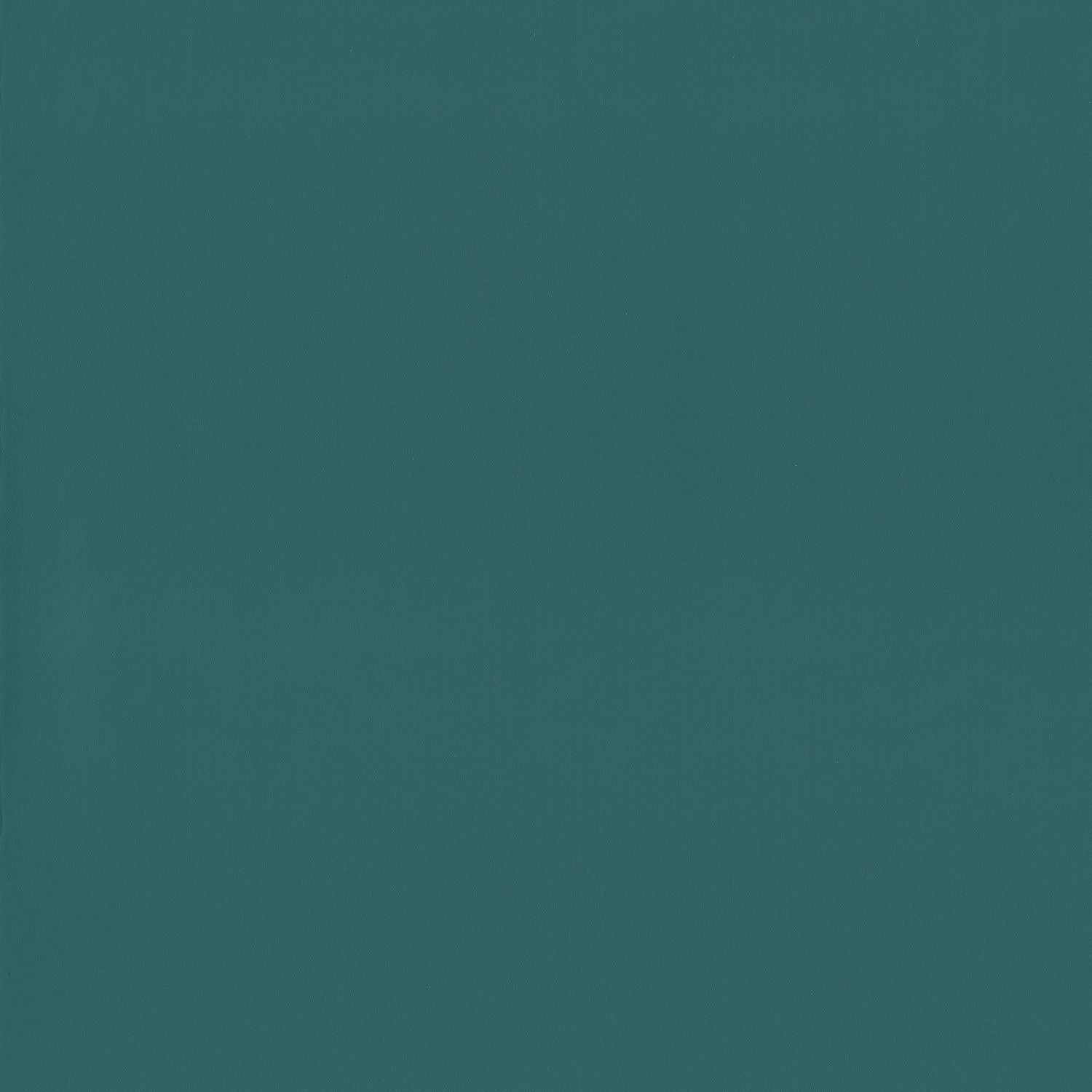 Carta da Parati Our Planet Caselio Wallpaper